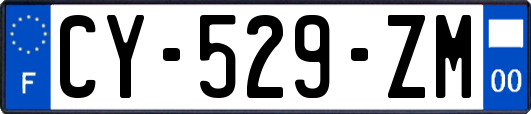 CY-529-ZM
