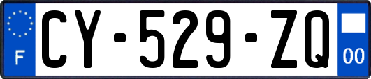 CY-529-ZQ
