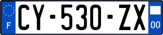 CY-530-ZX