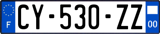 CY-530-ZZ