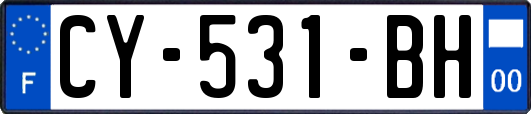 CY-531-BH