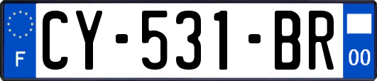 CY-531-BR