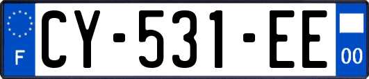 CY-531-EE