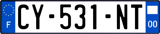 CY-531-NT