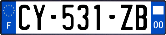 CY-531-ZB