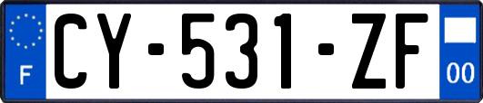 CY-531-ZF