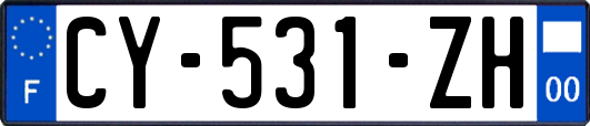 CY-531-ZH