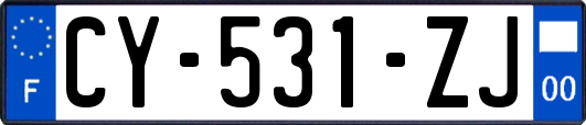 CY-531-ZJ