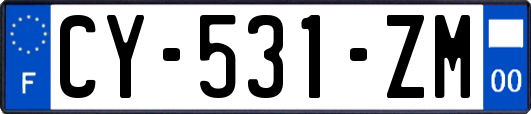 CY-531-ZM