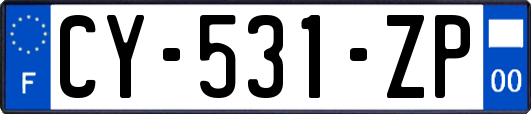 CY-531-ZP