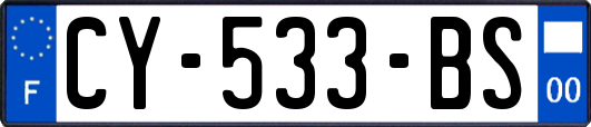 CY-533-BS