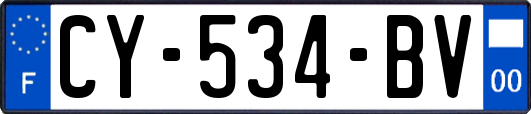 CY-534-BV
