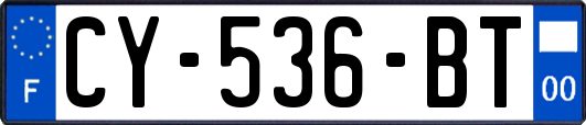 CY-536-BT