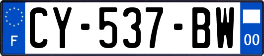 CY-537-BW