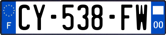 CY-538-FW