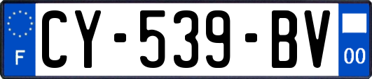 CY-539-BV