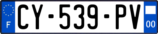 CY-539-PV