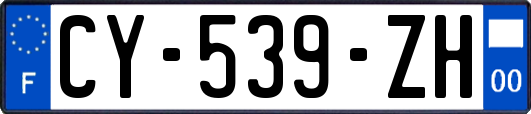 CY-539-ZH