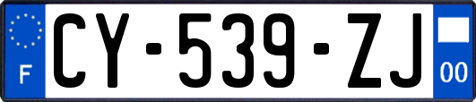 CY-539-ZJ
