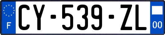 CY-539-ZL