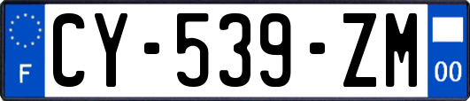 CY-539-ZM