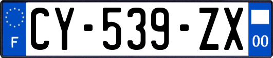 CY-539-ZX