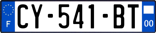 CY-541-BT