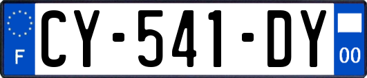 CY-541-DY