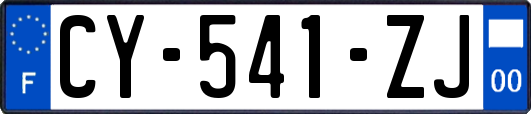 CY-541-ZJ