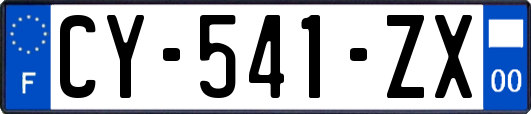 CY-541-ZX