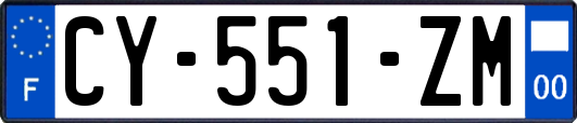 CY-551-ZM