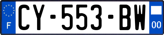 CY-553-BW