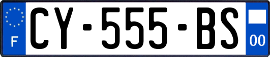 CY-555-BS