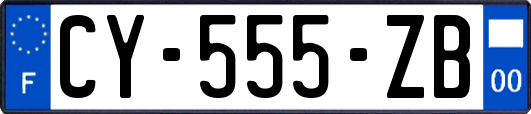 CY-555-ZB