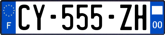 CY-555-ZH