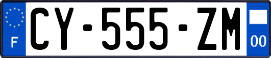 CY-555-ZM