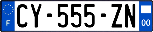 CY-555-ZN