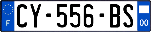 CY-556-BS