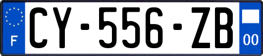 CY-556-ZB