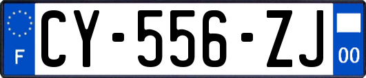 CY-556-ZJ