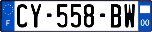 CY-558-BW