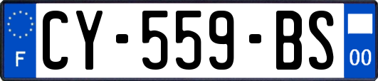 CY-559-BS