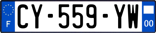 CY-559-YW