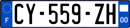 CY-559-ZH