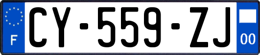CY-559-ZJ