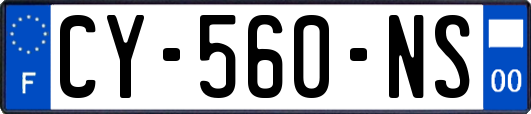 CY-560-NS