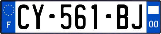 CY-561-BJ