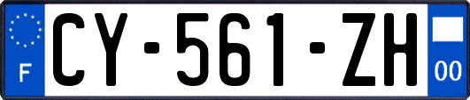 CY-561-ZH