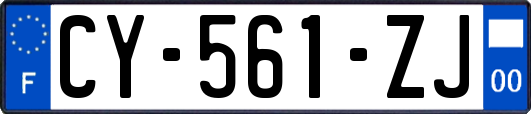 CY-561-ZJ
