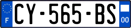 CY-565-BS